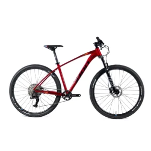 ZION STRIX LTWOO 1X11